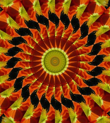 Kaleidoscope: Mex Poppy # 4