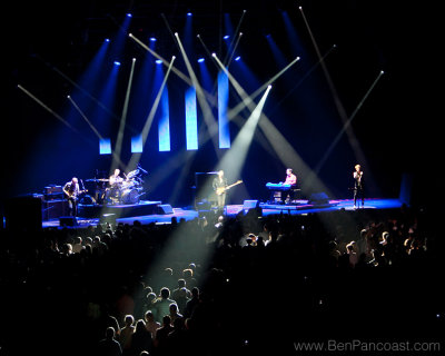 Concert Photography Sting.jpg