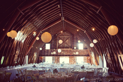 Blue_Dress_Barn_Wedding_11.JPG