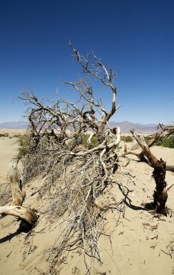 Death Valley National Park