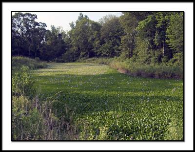 At the South end of Brookmeade Dr