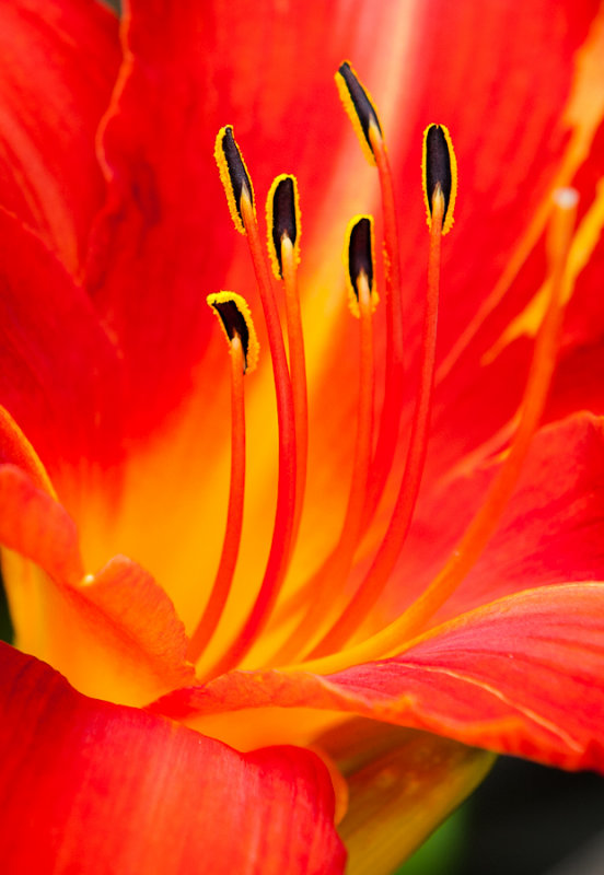 g4/57/932657/2/143584703.ew7aYX5n.jpg