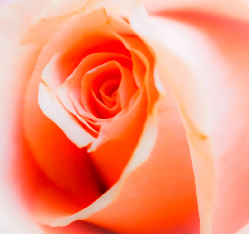 g4/57/932657/2/145650715.5U1QQjwx.jpg