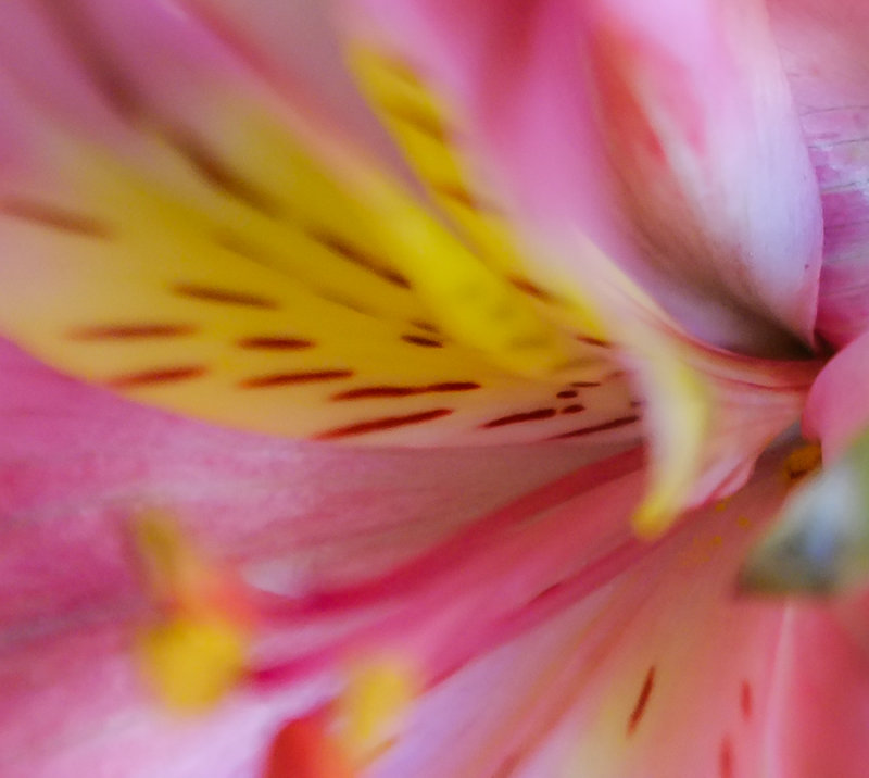 g4/57/932657/2/145651907.PinNOlUm.jpg