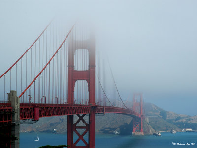 Lost in the fog.jpg
