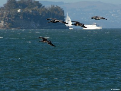 Out in the bay.jpg