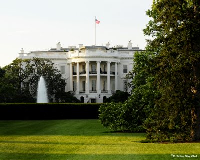 The White House.jpg