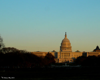 The Washington, DC Gallery