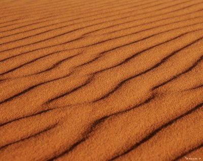 desert pattern.jpg