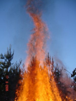 84.jpg