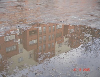 119.jpg