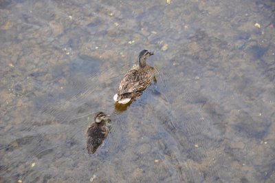 DSC_0114.JPG