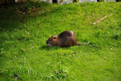 DSC_0136.JPG