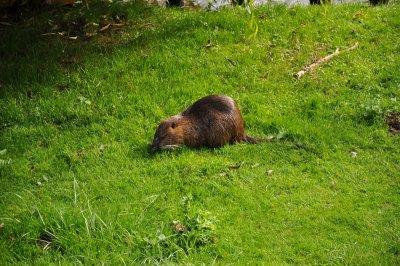 DSC_0137.JPG