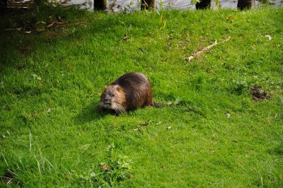 DSC_0139.JPG