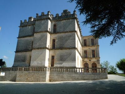 P1020615.JPG