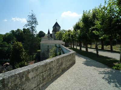 P1020664.JPG