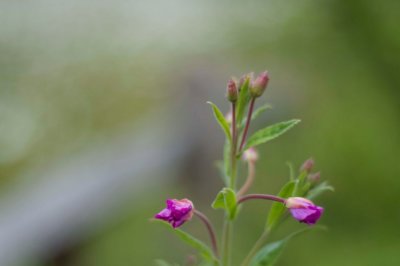 DSC_0021.jpg