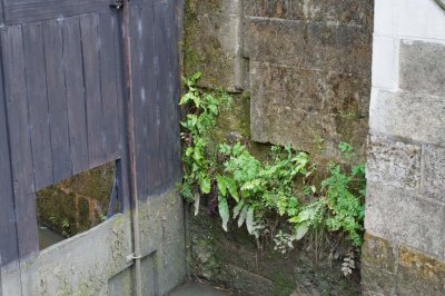 DSC_0023.jpg