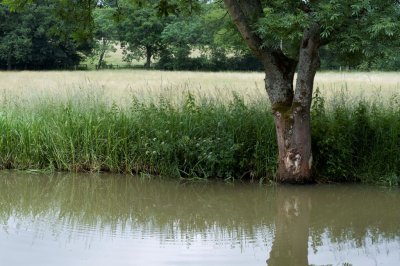 DSC_0035.jpg