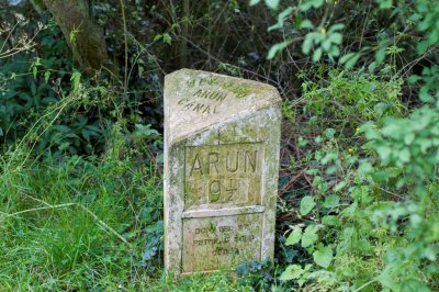 DSC_0038.jpg