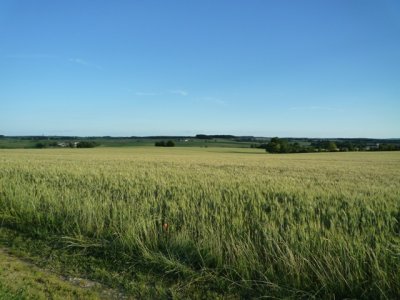 P1030694.JPG