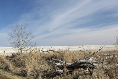 IMG_9300.jpg