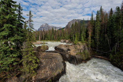 Rapids At Burgess Shale