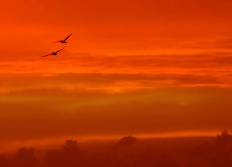 First in Flight