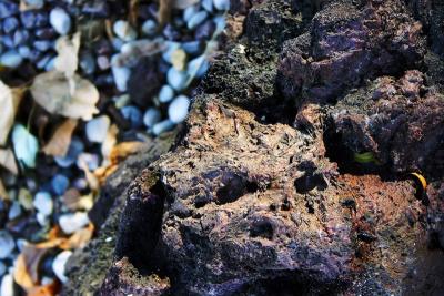 Squoosh: Portrait of a rock