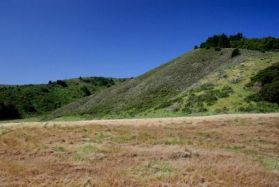 A walk in the hills*