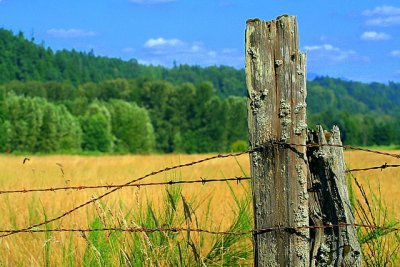 2ndOld Fence Post* by Vonniedee