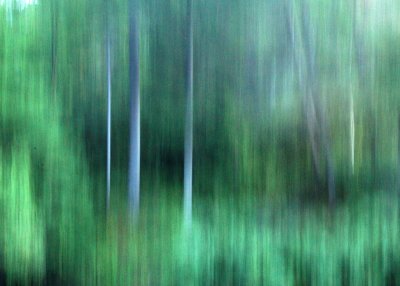 Trees in motion *