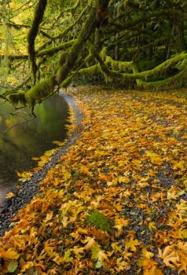 Crescent Lake, Washington