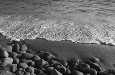 _MG_4372.jpg