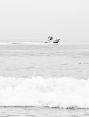 _MG_4426.jpg