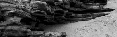 _MG_4504.jpg
