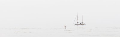 _MG_4528.jpg