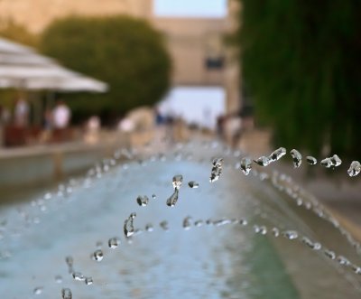 _MG_4627.jpg