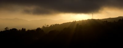 _MG_4631.jpg