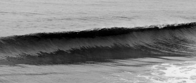 _MG_4704.jpg