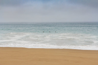_MG_4769.jpg