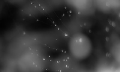 _DSF0743.jpg