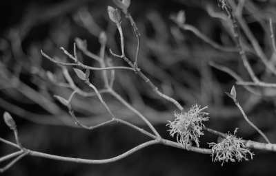 _DSF0784.jpg