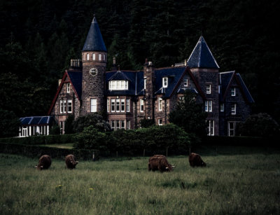 Scotland_8_07-110_SlfPrnt_.jpg