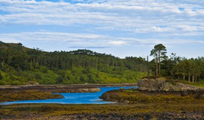 Scotland_8_07-121_SlfPrnt_.jpg