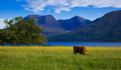 Scotland_8_07-90_SlfPrnt_.jpg