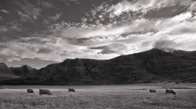 Scotland_8_07-92_SlfPrnt_.jpg
