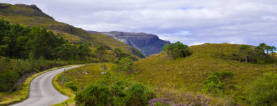 Scotland_8_07-153_SlfPrnt_.jpg