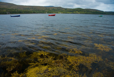 Scotland_8_07-208_SlfPrnt_.jpg